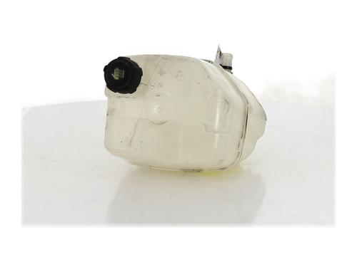 Used Expansion tank RENAULT KANGOO Express (FW0/1_) Z.E. (FW0Z, FW1Z) (60 hp) 26137707