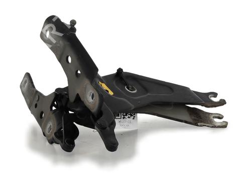 Hinge/Door check strap BMW X6 (E71, E72) xDrive 50 i | BP27912089C146 