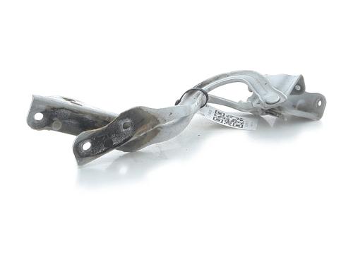 Hinge/Door check strap OPEL AGILA B (H08) 1.0 (F68) | BP32006296C146