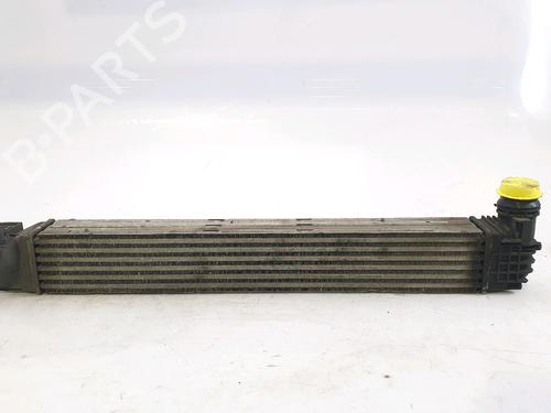 Used Intercooler RENAULT MEGANE III Hatchback (BZ0/1_, B3_) 1.5 dCi (106 hp) 29381523