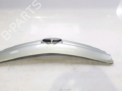 Grille MERCEDES-BENZ B-CLASS Sports Tourer (W245) B 180 CDI (245.207) | BP28447599C40 