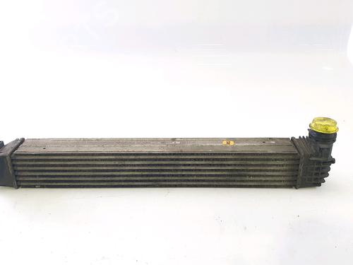 Intercooler RENAULT SCÉNIC III (JZ0/1_) 1.5 dCi (110 hp) 28486982