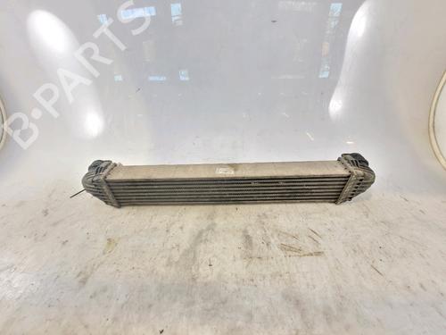 Intercooler MERCEDES-BENZ A-CLASS (W169) A 160 CDI (169.006, 169.306) | BP19480825M30 