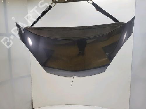 hood-citroen-c4-picasso-i-mpv-ud_-2006-2007-2008-2009-2010-2011-2012-2013-2014-2015-38031084 main image
