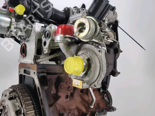 Engine RENAULT CLIO III (BR0/1, CR0/1) 1.5 dCi (BR17, CR17) | BP29874504M1