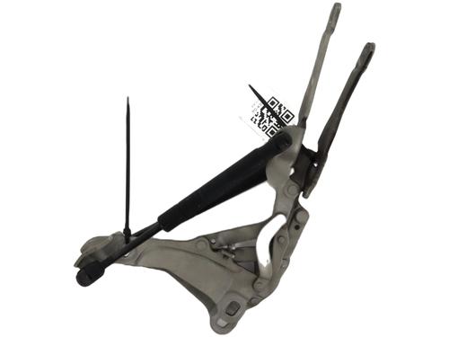 Used Hinge/Door check strap MINI MINI (R56) Cooper (120 hp) 27908929
