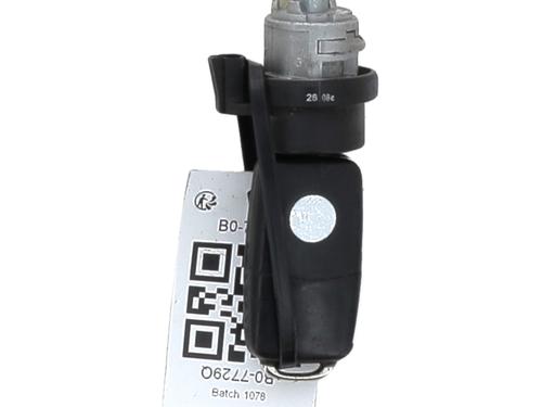 Used Ignition barrel Ignition barrel VW POLO IV (9N_, 9A_) 1.4 TDI (70 hp) 29265454 29265454