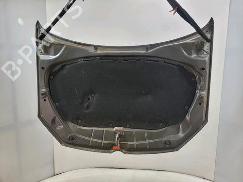 Motorhaube VW POLO V (6R1, 6C1) 1.6 TDI | BP30449639C1