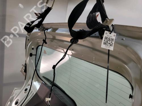 Tailgate DACIA SANDERO III 1.0 TCe 100 ECO-G | BP29470766C6 