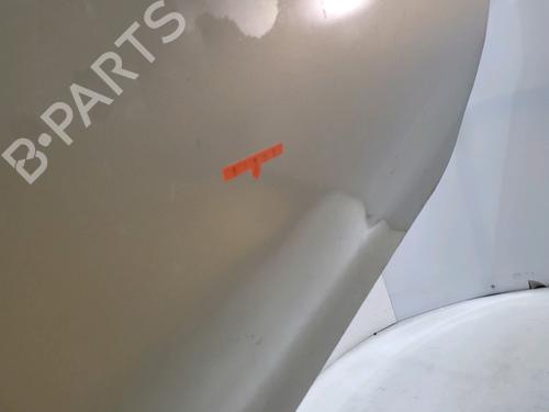 Right front door RENAULT TWINGO I (C06_) 1.2 16V (C06C, C06D, C06K) | BP29416830C3 