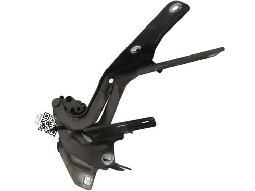 hingedoor-check-strap-citroen-c4-picasso-i-mpv-ud_-2006-2007-2008-2009-2010-2011-2012-2013-2014-2015-33420554 main image