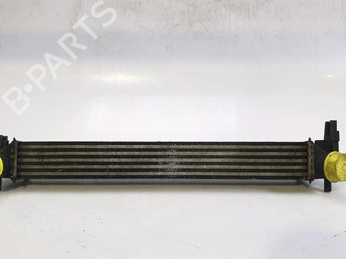 Intercooler VW POLO V (6R1, 6C1) 1.6 TDI (75 hp) 30118728