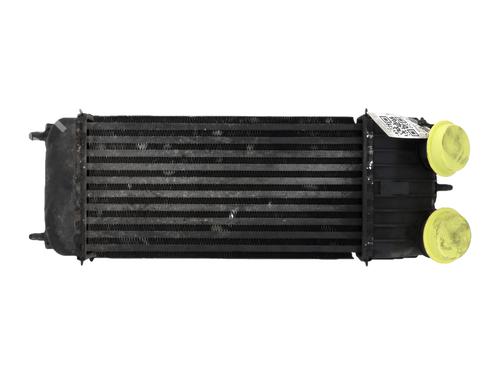 Used Intercooler Intercooler PEUGEOT 207 (WA_, WC_) 1.6 HDi (90 hp) 40004202 40004202