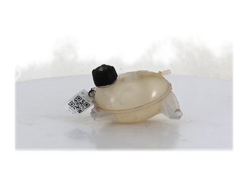 Used Expansion tank DACIA SANDERO II TCe 90 (B8M1, B8MA, B8AC) (90 hp) 30334779