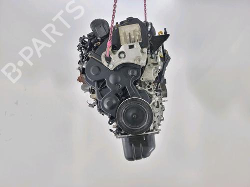 Used Engine FORD FIESTA VI (CB1, CCN) 1.4 TDCi (70 hp) 29295564