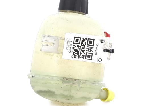 Used Expansion tank RENAULT SCÉNIC I MPV (JA0/1_, FA0_) 1.9 dCi (JA05, JA1F) (102 hp) 25300783
