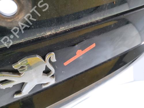 Tailgate PEUGEOT 307 Break (3E)  | BP26312131C6 