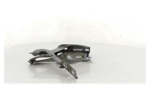 Hinge/Door check strap PEUGEOT 307 SW (3H)  | BP27909154C146 