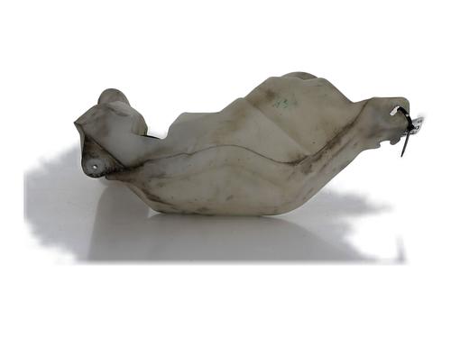 Used Windscreen washer tank RENAULT MASTER II Van (FD) 2.2 dCI 90 (FD0G, FD0N, FD2G, FD2N, FD3G, FD3N) (90 hp) 30140442