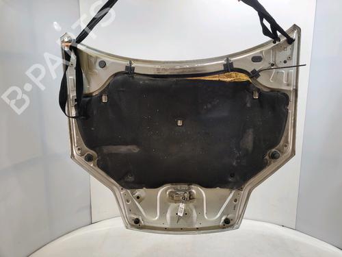 Hood RENAULT LAGUNA III (BT0/1) 2.0 dCi (BT0M, BT0N, BT0S, BT19, BT1F) | BP29517729C1 