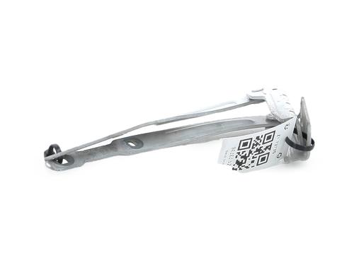 Hinge/Door check strap DACIA LODGY (JS_) 1.2 TCe (JSAY, JSM0) | BP36795329C146 - Image 3