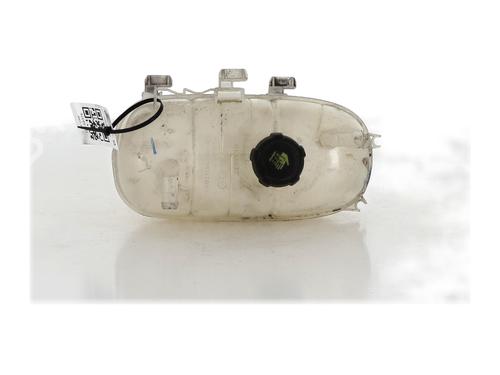 Used Expansion tank RENAULT TRAFIC III Van (FG_) 2.0 dCi 120 (FGMN) (120 hp) 26016661