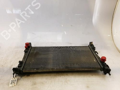 Radiateur à eau FIAT FIORINO MPV (225_) 1.3 JTD Multijet (225BXB1A, 225BXB11) (75 hp) 17643908