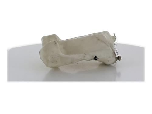 windscreen-washer-tank-citroen-c4-ii-nc_-2009-32770170 main image