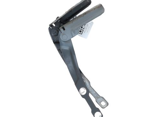 Hinge/Door check strap DACIA SANDERO II 1.0 SCe 75 (B8JC, B8JD, B8NC) | BP27912108C146