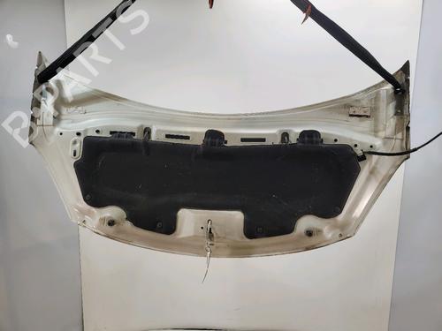 Hood CITROËN C3 II (SC_) 1.4 HDi 70 (SC8HZC, SC8HR0, SC8HP4) | BP29695942C1 