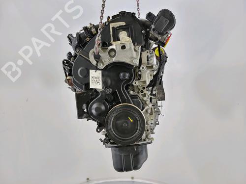 Motor FORD FIESTA VI (CB1, CCN) 1.6 TDCi (95 hp) 18647405