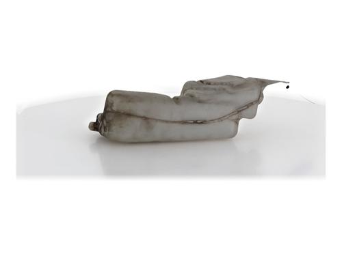 windscreen-washer-tank-renault-modus-grand-modus-fjp0_-2004-37191813 main image