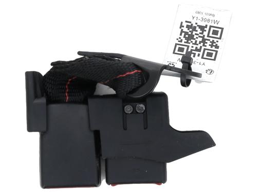 Seat buckle RENAULT CLIO III (BR0/1, CR0/1) 1.5 dCi (C/BR0G, C/BR1G) | BP29048425I32 