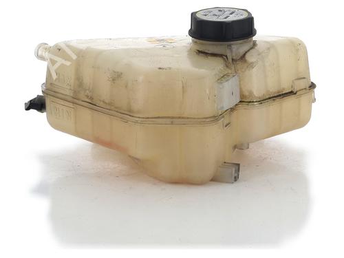 Vase D'Expansion FORD FIESTA VI (CB1, CCN) 1.25 (82 hp) 31142022