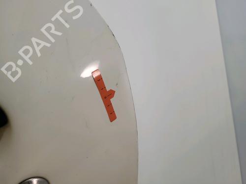 Left front door PEUGEOT 206+ (2L_, 2M_) 1.4 HDi eco 70 | BP29820236C2