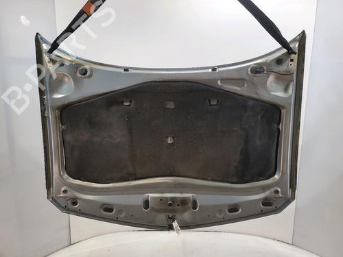 Hood RENAULT LAGUNA II (BG0/1_) 1.9 dCi (BG08, BG0G) | BP29381798C1 