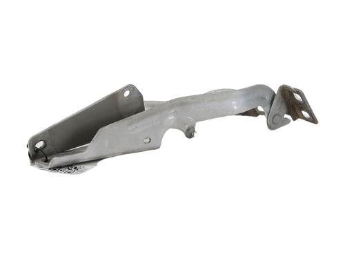 Hinge/Door check strap RENAULT KANGOO Express (FW0/1_)  | BP28333079C146 