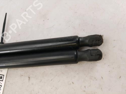 Tailgate lift support FIAT 500X (334_) 1.3 D Multijet (334AXH1A) | BP27916815C138 