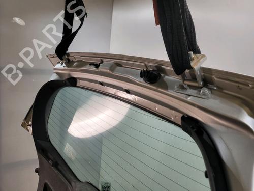 Tailgate RENAULT CLIO III (BR0/1, CR0/1) 1.5 dCi (BR17, CR17) | BP29988246C6