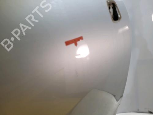 Right front door RENAULT SCÉNIC III (JZ0/1_) 1.5 dCi | BP29820011C3 