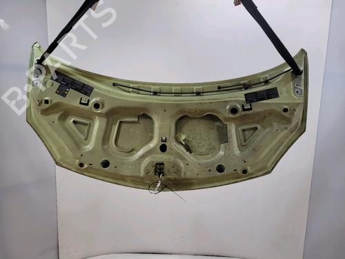 Hood RENAULT TWINGO II (CN0_) 1.2 16V (CN0K, CN0V, CN0A) | BP29696217C1 