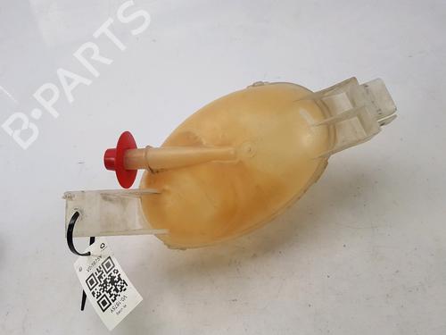 Expansion tank OPEL MOVANO B Van (X62) 2.3 CDTI FWD (FV) | BP13115705C120 