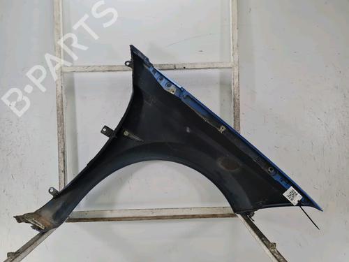 Left front fenders RENAULT MEGANE II Coupé-Cabriolet (EM0/1_) 1.9 dCi | BP19655805C41 