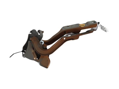 Used Hinge/Door check strap Hinge/Door check strap DACIA SANDERO III 1.0 TCe 90 (91 hp) 40278061 40278061
