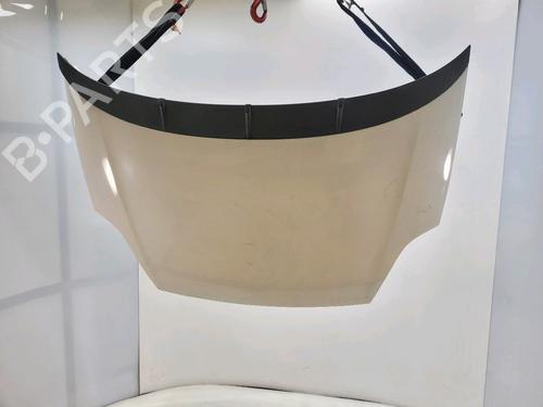 Used Hood FIAT PUNTO EVO (199_) 1.3 D Multijet (199AXC1A, 199BXC1A, 199AXT1A, 199BXT1A) (75 hp) 29932164