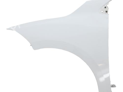 Parafango anteriore sinistro RENAULT MEGANE III Hatchback (BZ0/1_, B3_) 1.5 dCi (BZ0C) (90 hp) 29874120
