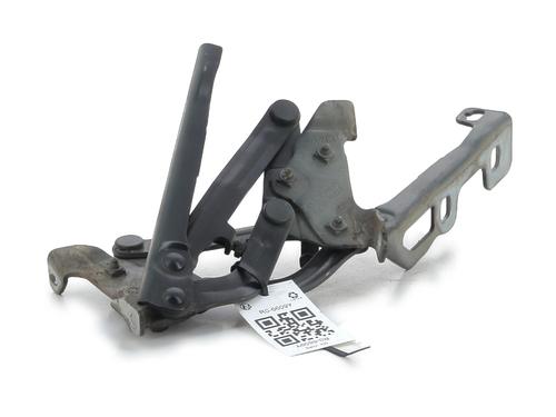 Hinge/Door check strap OPEL CORSA D (S07) 1.2 (L08, L68) | BP27911731C146 