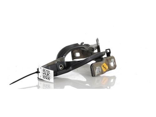 Hinge/Door check strap FIAT 500X (334_) 1.6 D Multijet (334AXA1B, 334AXA11) | BP27902714C146 