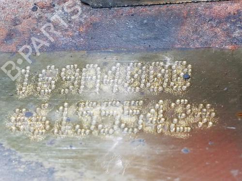 Engine FIAT PANDA (169_) 1.2 (169AXF2A, 169AXF1A) | BP32152966M1 