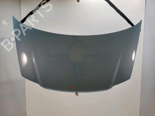 Used Hood FIAT PANDA (169_) 1.3 D Multijet 4x4 (169.AXC2A) (70 hp) 28366091